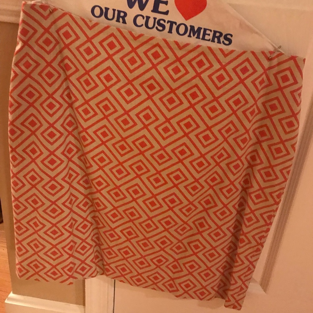 Ann Taylor Skirt - Worn Once